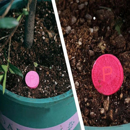 Revive Dead Plants